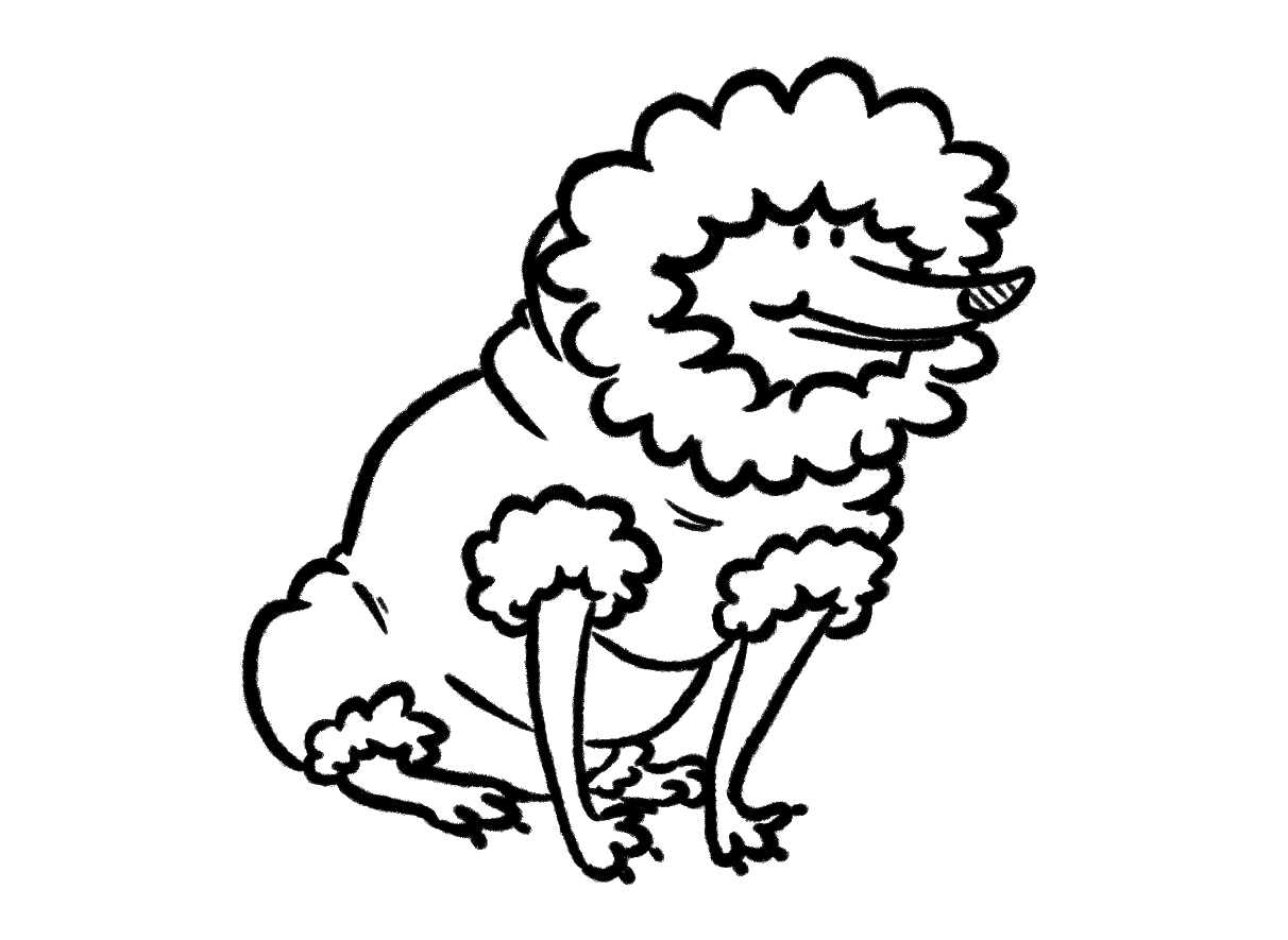 Ubrania dla psów – konieczność czy fanaberia?