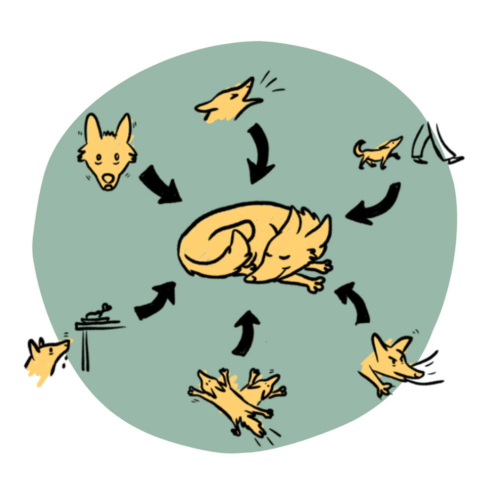 Jak nauczyć psa spokoju